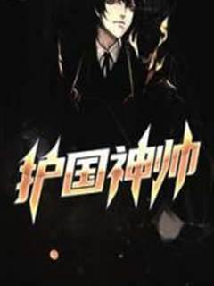 護國神帥