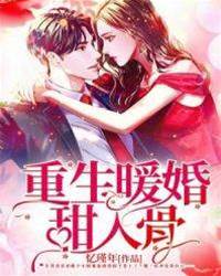 重生暖婚甜入骨
