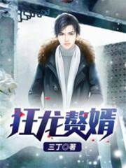 狂龍贅婿