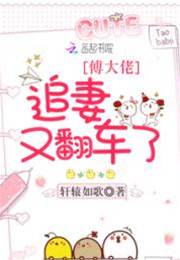 傅爺追妻翻車了