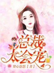 總裁寵妻上癮