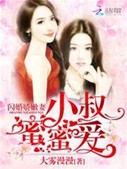 閃婚小叔寵上癮