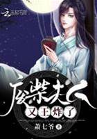 廢柴夫人又王炸了