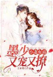 墨少宠妻成瘾
