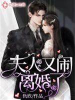 夫人她要離婚