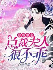 隱婚總裁追妻忙
