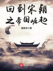 回到宋朝之帝國崛起