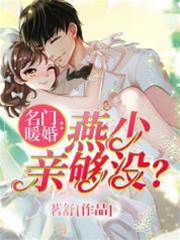 燕少寵婚上癮