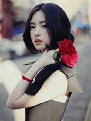 隱婚總裁太難纏