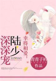 陸少寵妻入骨