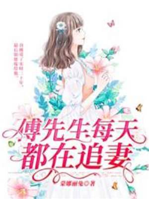 傅总追妻不休