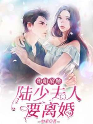 陸少夫人想離婚