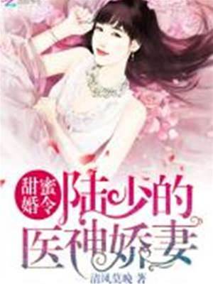 陸少的重生醫妻