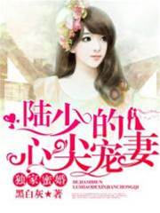 陸少閃婚蜜寵