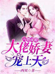 閃婚成癮：大佬嬌妻寵上天