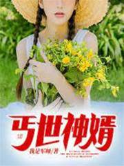丐世神婿