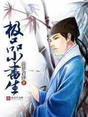 極品小書生