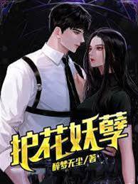 護花妖孽