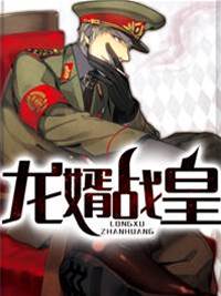 龍婿戰皇