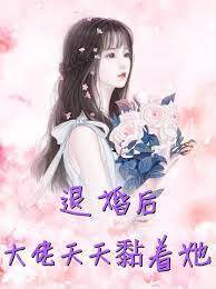 重生後她成小舅媽