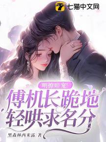傅機長求名分