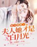 慕少，夫人才是白月光
