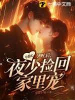 孕吐後夜少寵上天
