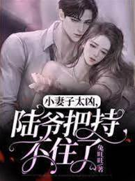 陸爺寵妻失控