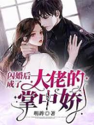 閃婚大佬掌心寵