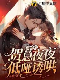 閃婚賀總誘寵