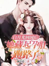 替嫁前妻带球跑