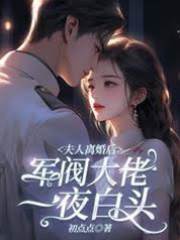 夫人離婚后，軍閥大佬一夜白頭