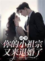 司爷退婚又追妻