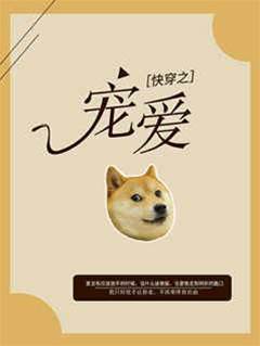 快穿之寵愛