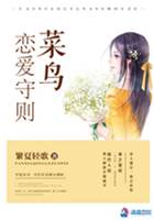 菜鳥戀愛法則