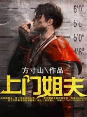 上門姐夫