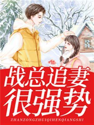 戰總追妻太猛