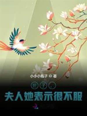 世子夫人不好惹