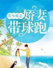 墨少追妻帶球逃