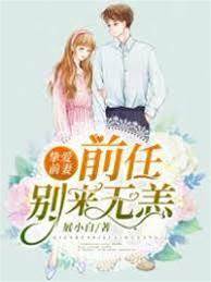 前妻舊愛難償