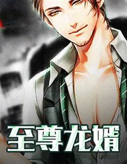 至尊龍婿