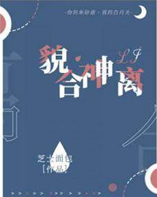 貌合神離