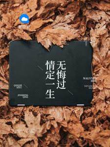 双宝来袭妻难逃