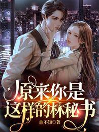 賀總的秘書小姐