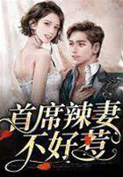 首席辣妻别惹