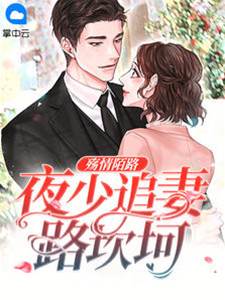 夜少囚愛追妻