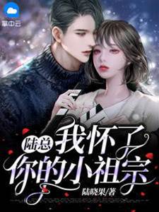 陸總的意外小祖宗