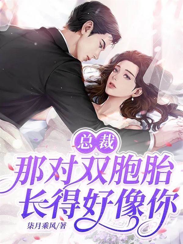 總裁追妻帶雙寶