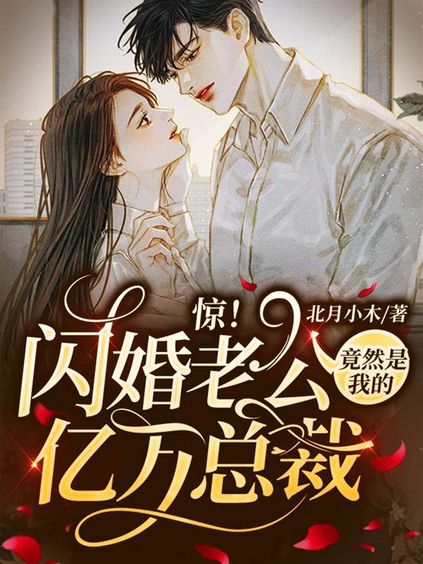 閃婚老公是總裁