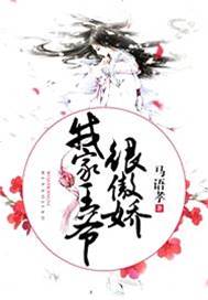 傲娇王爷俏王妃